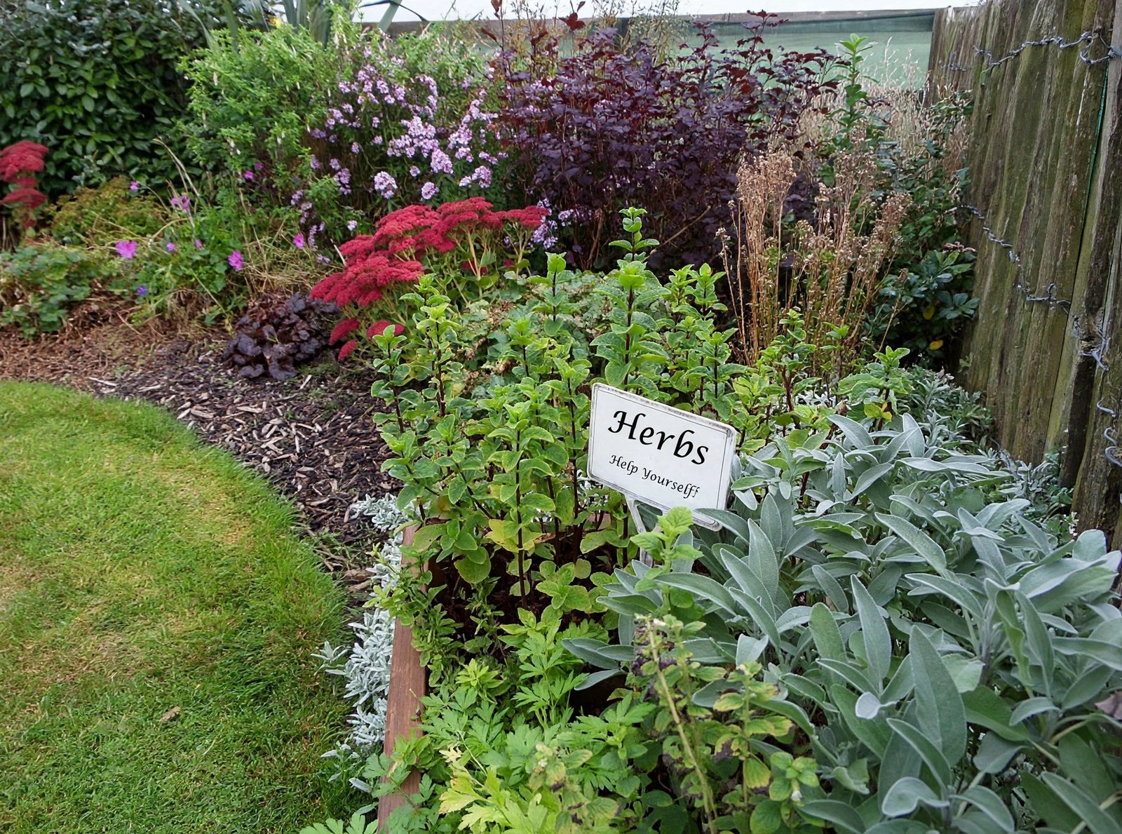 Flower garden with red and purple planting beside the cottage lawn — enhanced sample photo